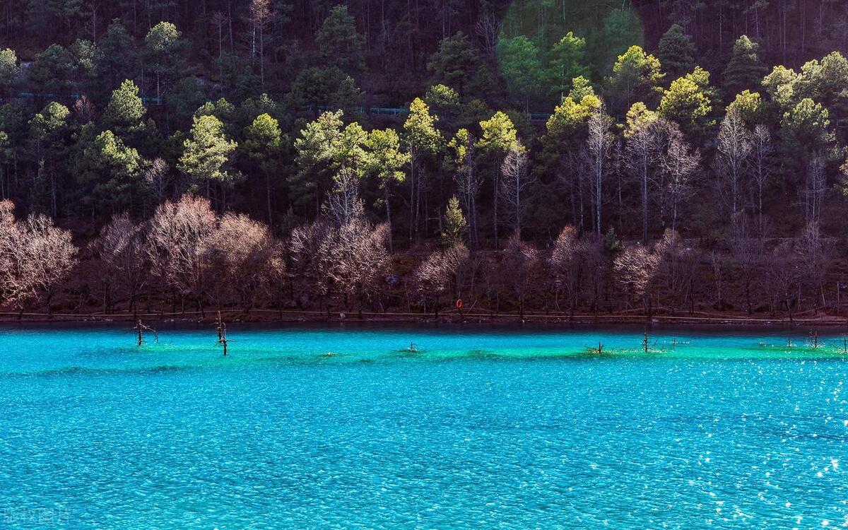 苦等12年云南最美自驾公路,云南最美低调景点自驾游攻略