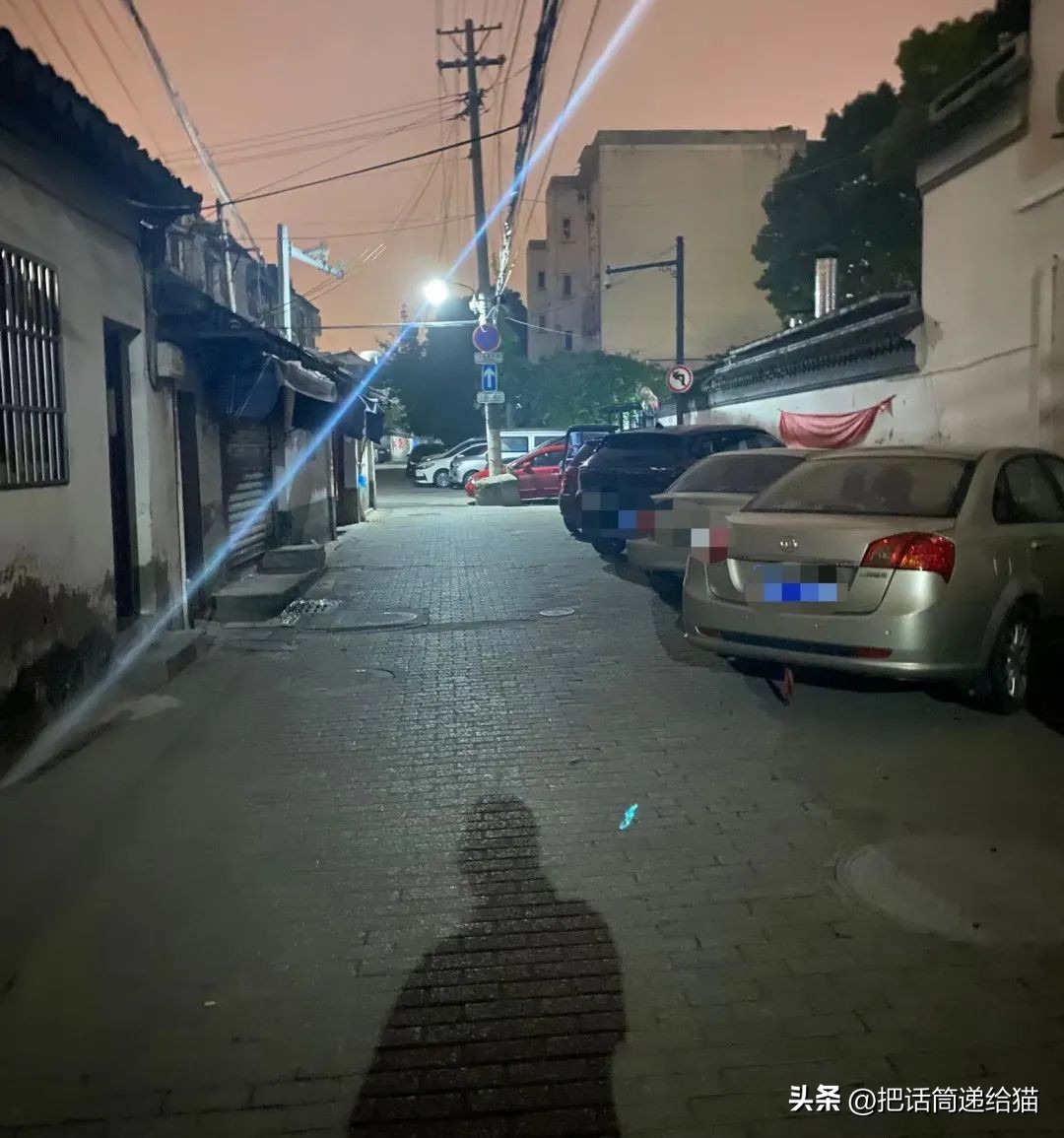 江苏偷猫事件,偷猫人被抓新闻