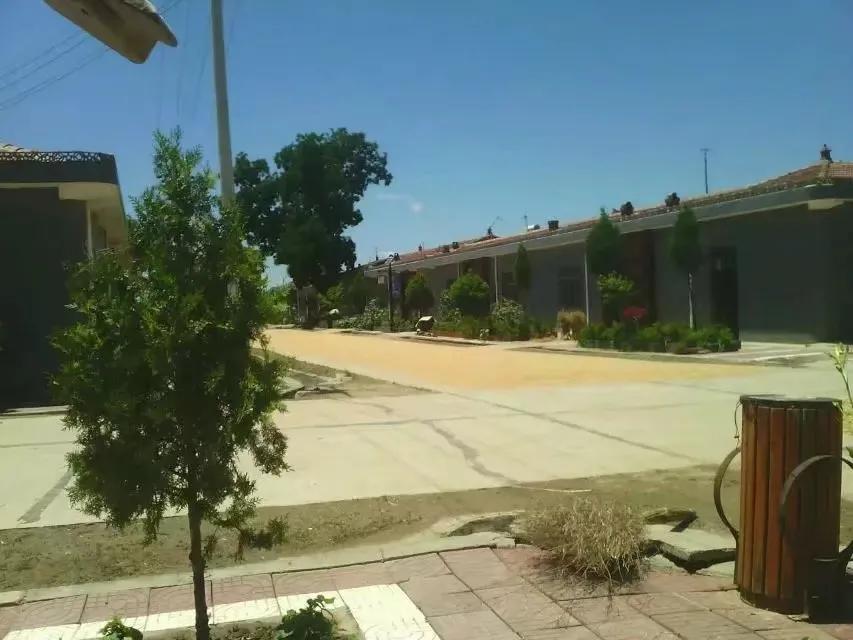 彬州市水口镇牛堡村简志