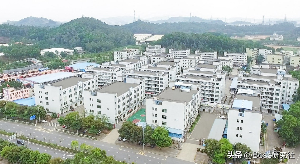 广东东莞十大首富2019年,广东东莞最有钱的老板是谁