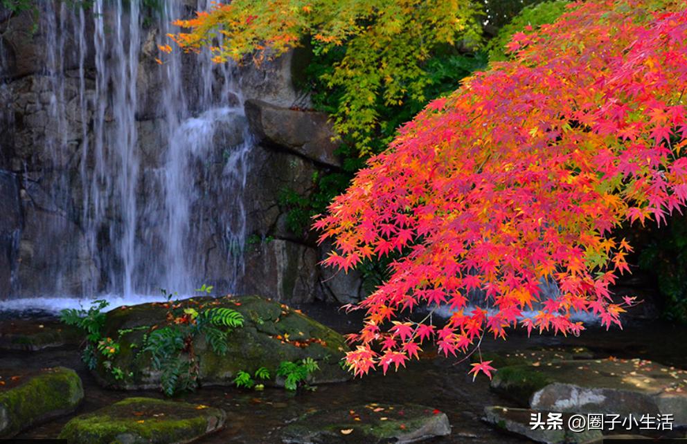 偏振镜的鉴别图,偏振镜参数