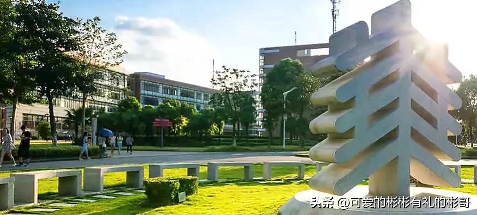 华东师范大学双一流985,华东师范大学属于哪一类985