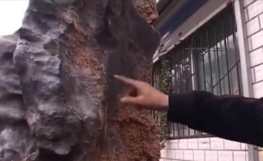 老汉花1200万买羊脂白玉,农村小伙摆地摊2天赚了一万块