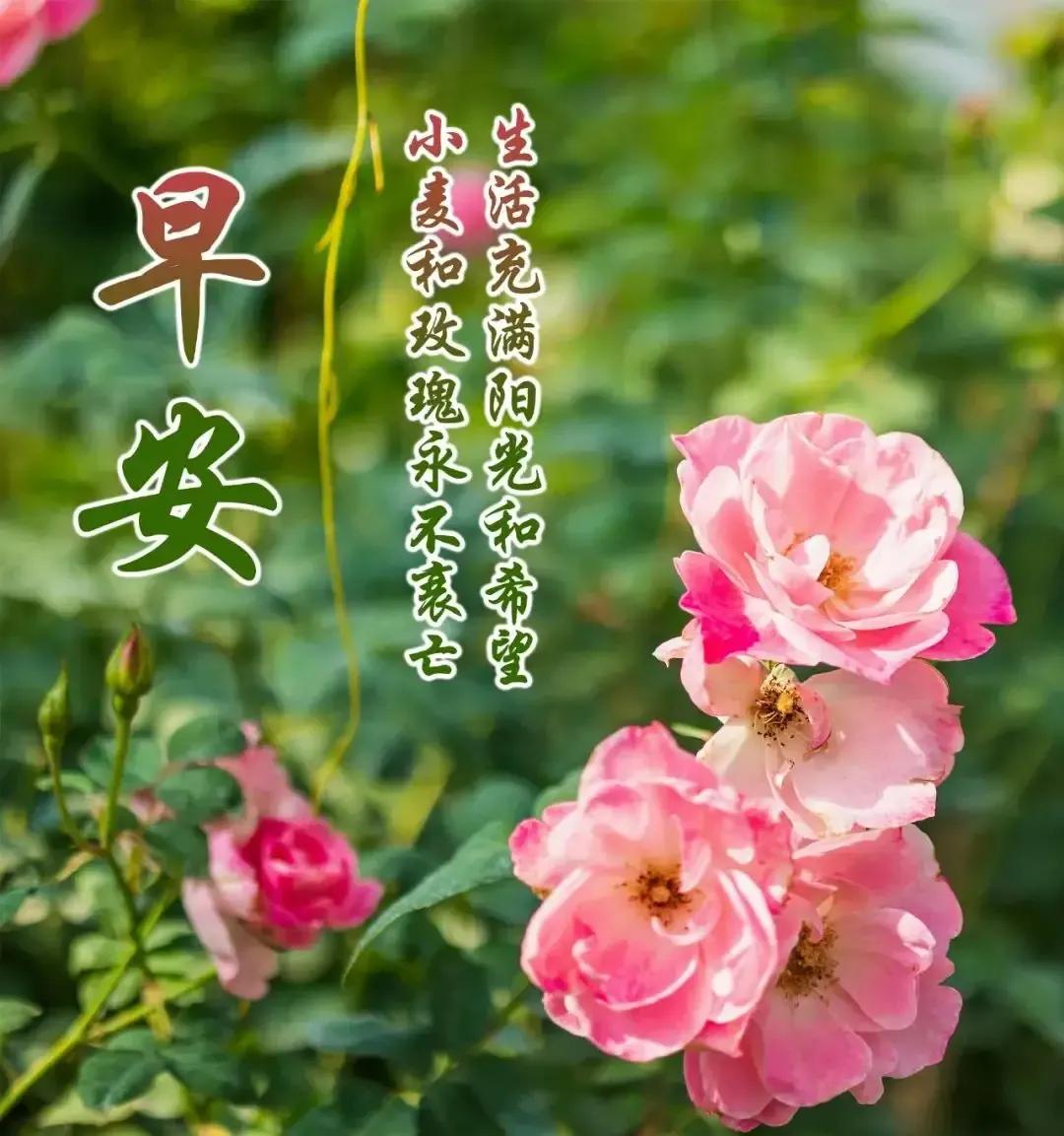 2023年农历是什么年癸卯年,农历2023年癸卯年正月结婚吉日