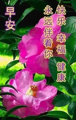 2023年02月27日星期一农历:癸卯年【兔年】二月初八八九第5天