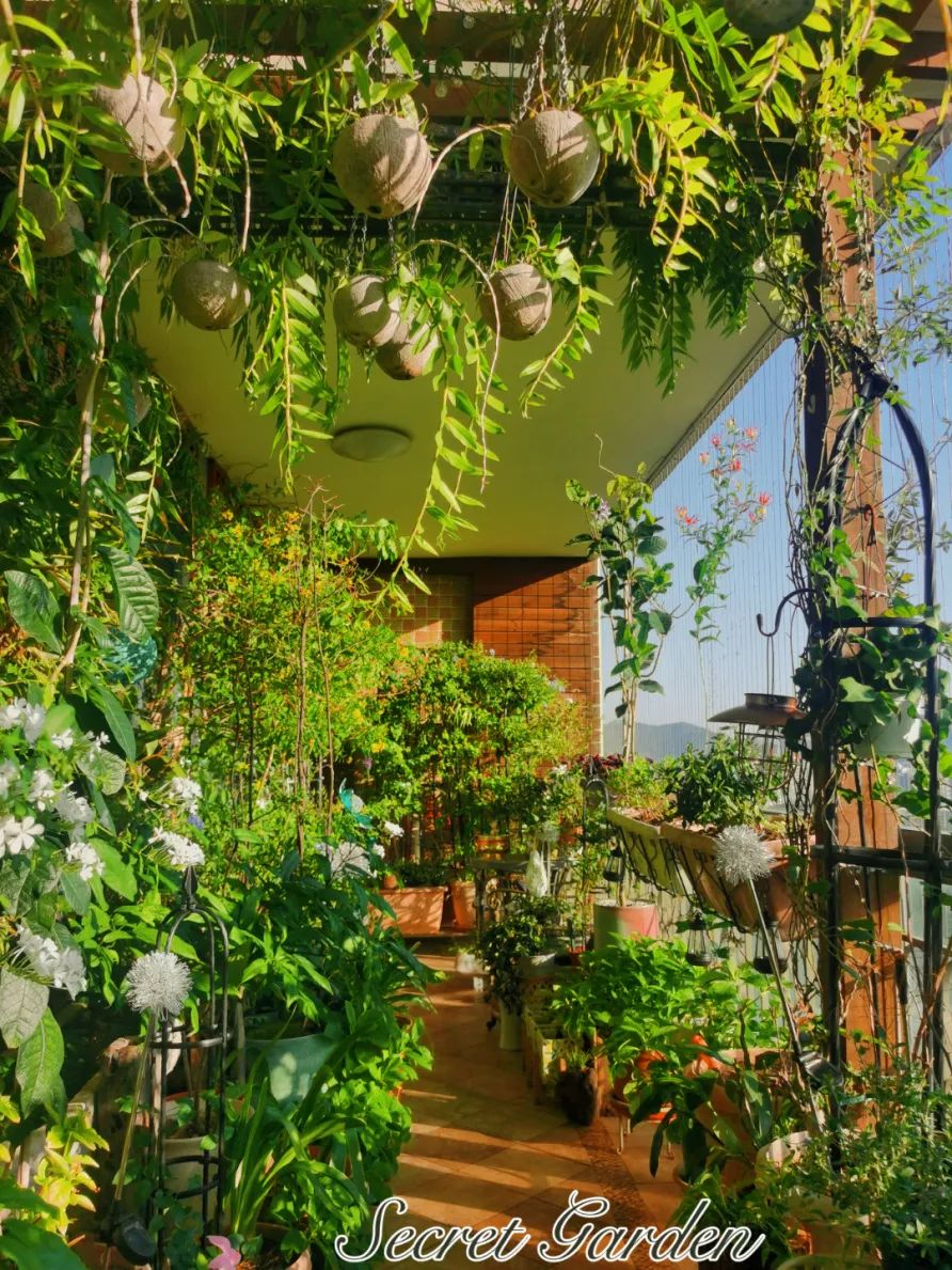 很多人羡慕的阳台,让别人羡慕的阳台