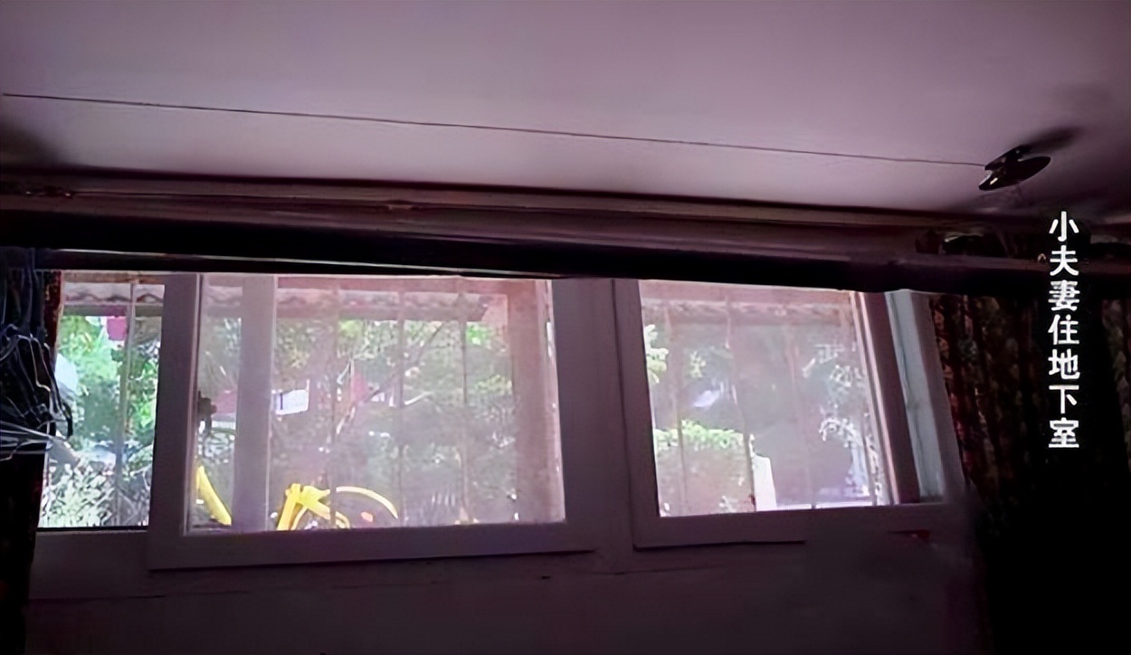 世界杯为什么火爆,世界杯火吗