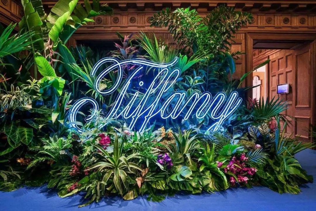 大品牌pk,各大品牌大pk