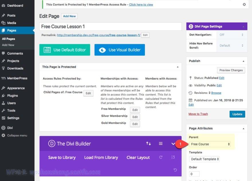 divi使用教程,divi网站搭建