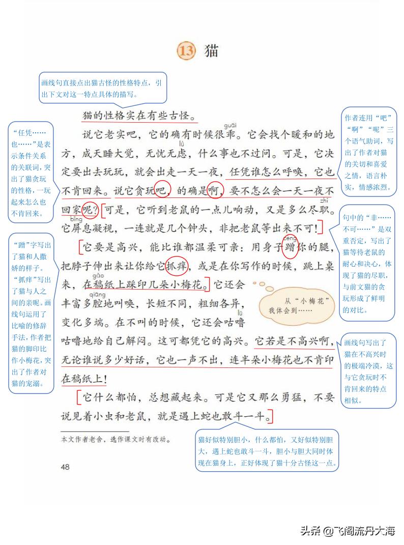 四下语文13课猫课堂笔记,四年级语文下册13课猫课后练习题