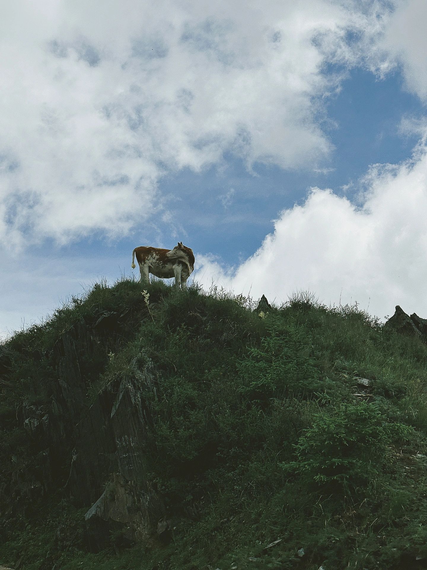 五台山风景最美的地方,五台山可遇不可求的奇观