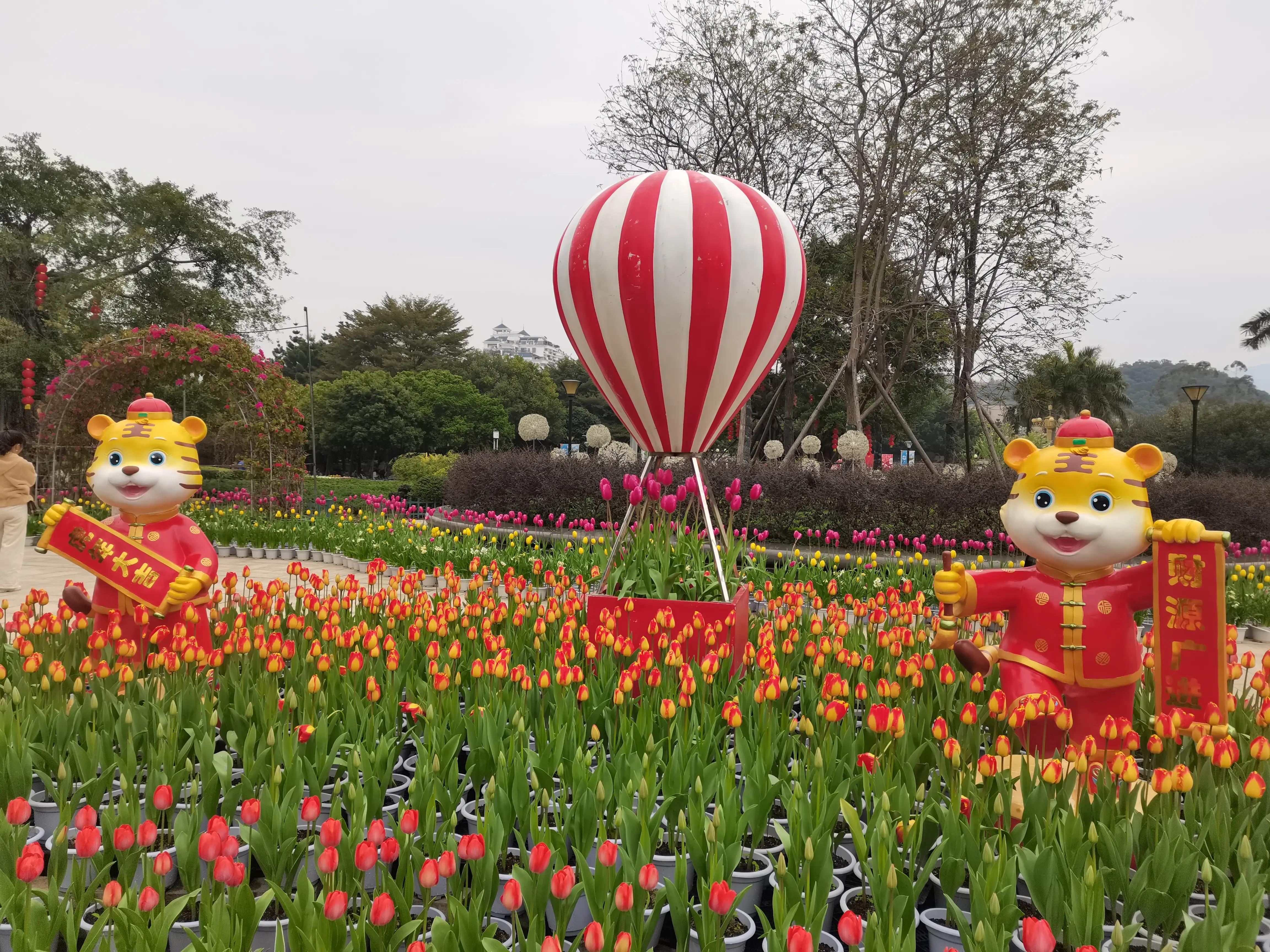 福州郁金香温泉公园,福州花海公园郁金香