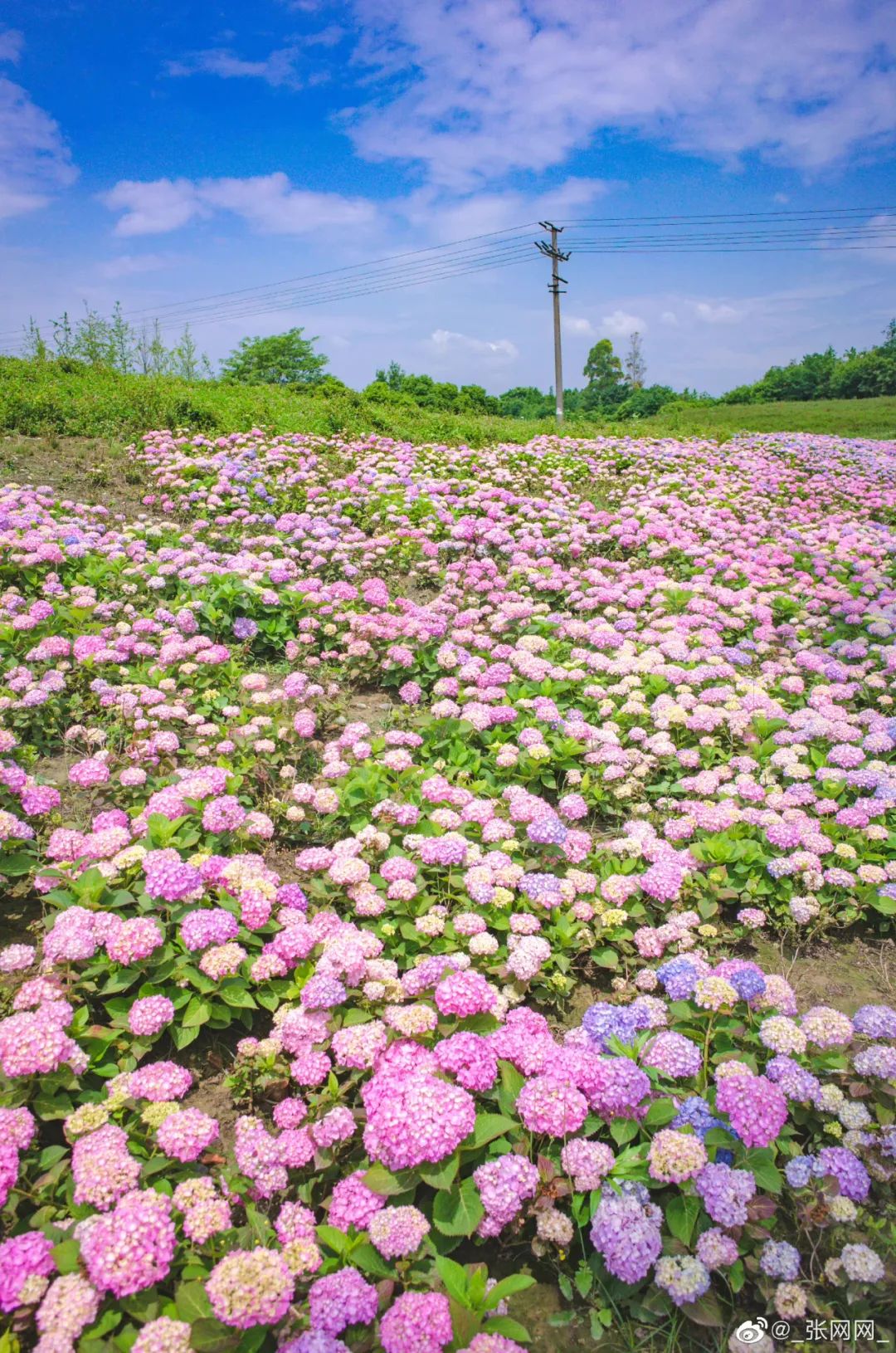 成都有哪些好玩的网红打卡地,成都网红打卡地最新旅游景点
