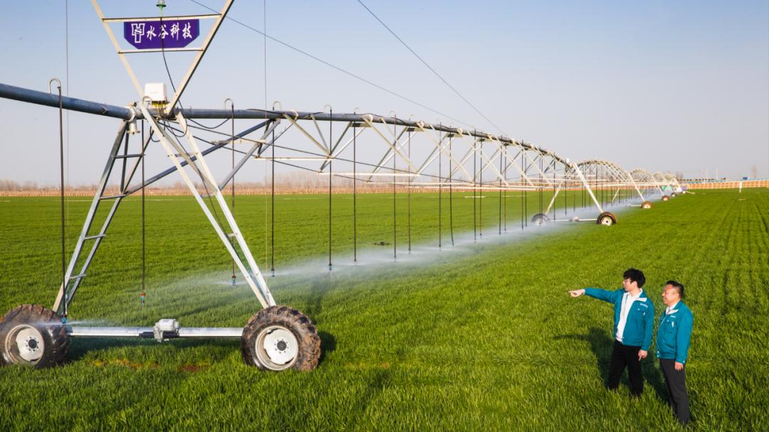 冀鲁豫皖陕五省部分小麦主产县春管探行