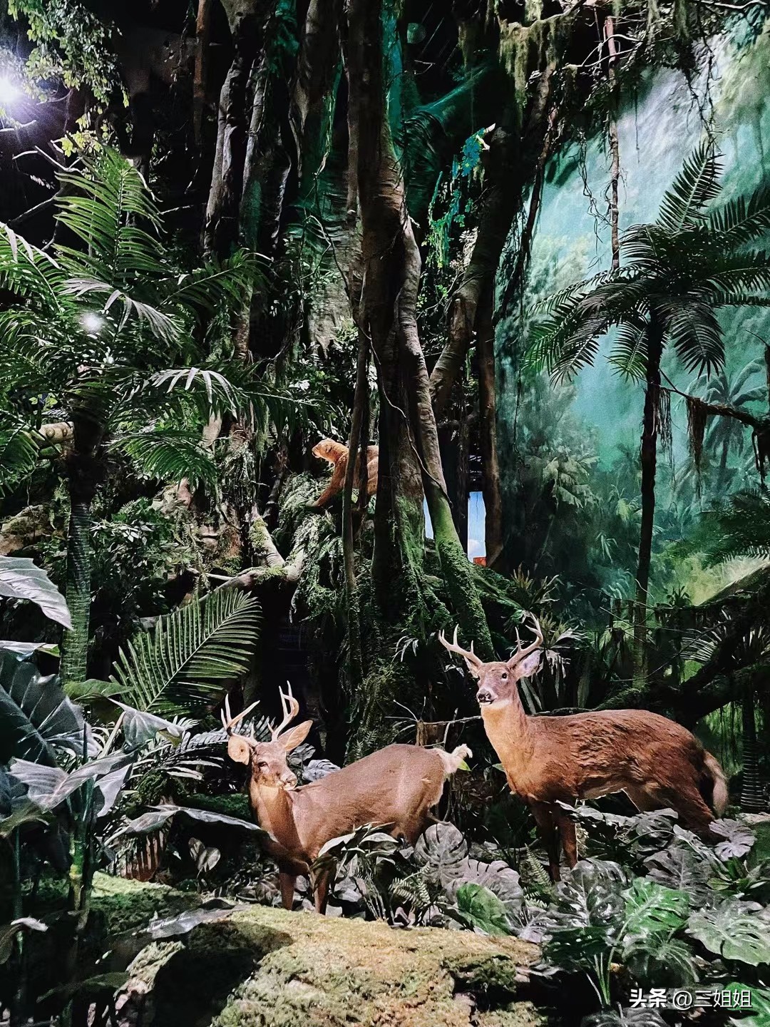 周末亲子时光科技馆,科技馆儿童乐园打卡攻略