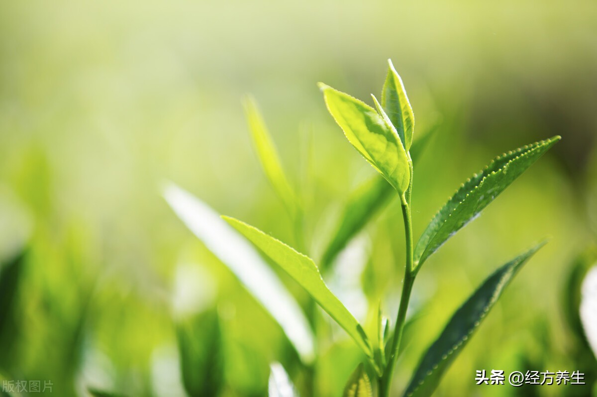 诺如病毒中医治疗案例,诺如病毒中医治疗方子