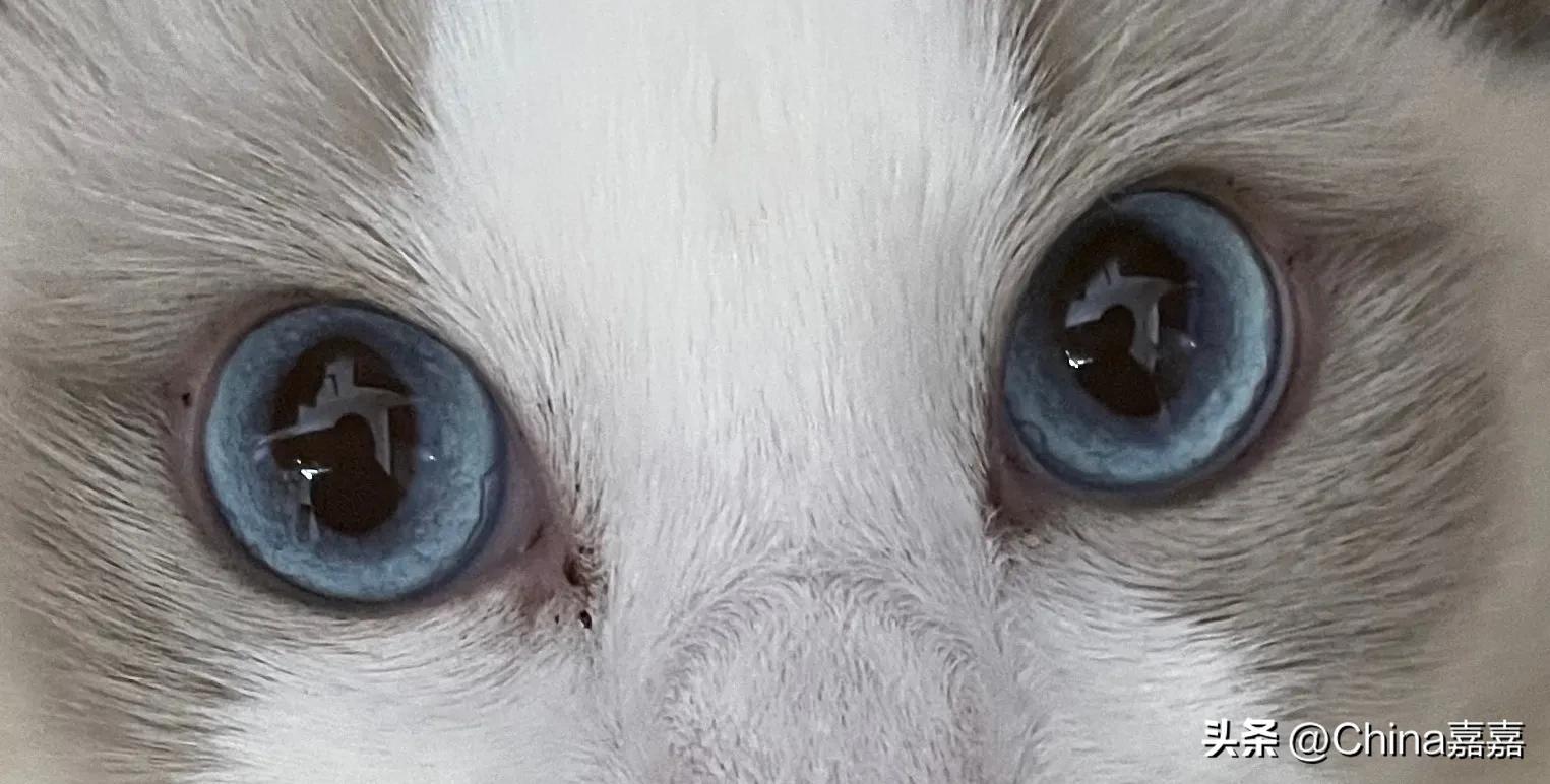 这个才能治愈你的不开心