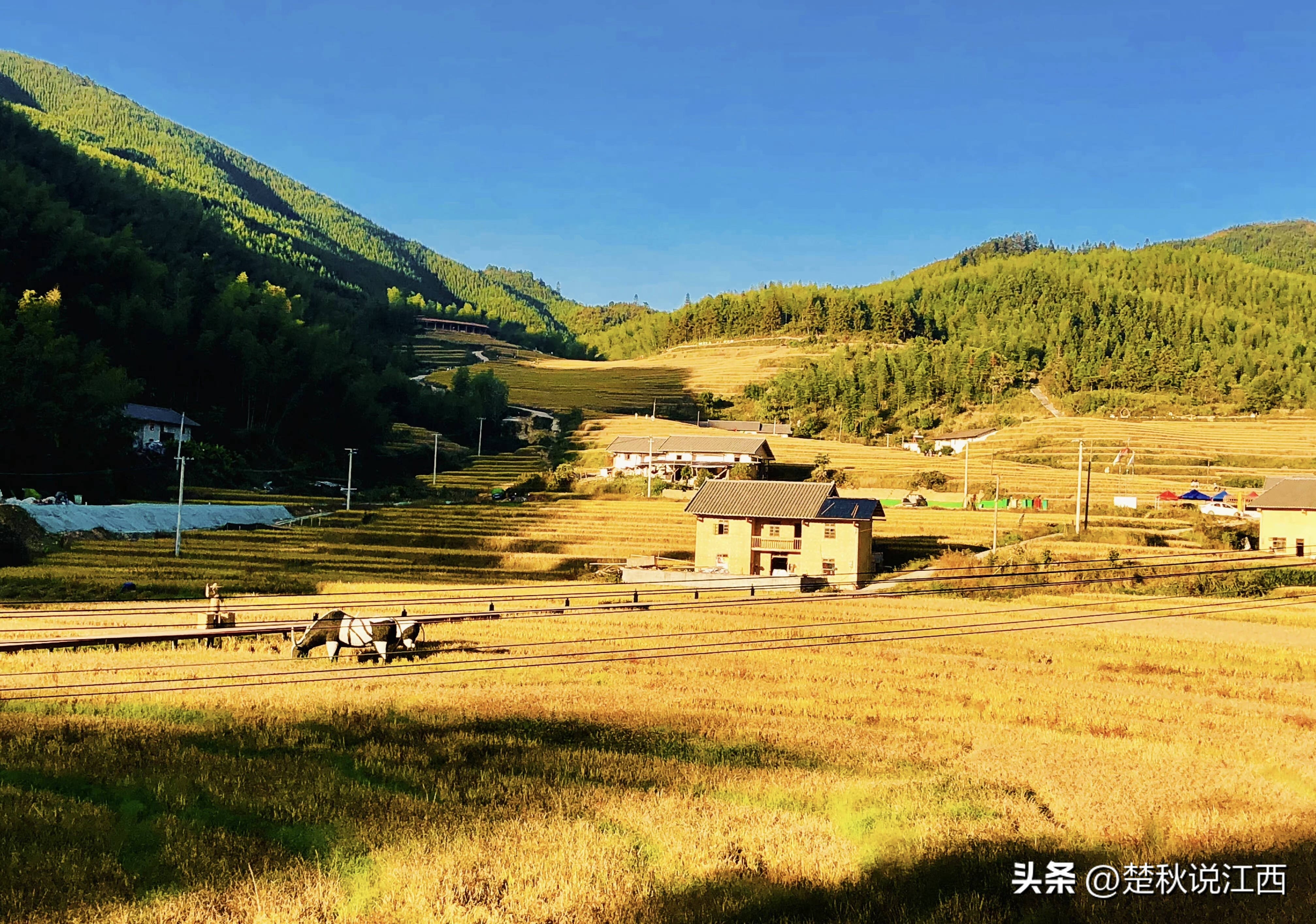 江西有哪些梯田风景区,江西梯田排名前十的梯田