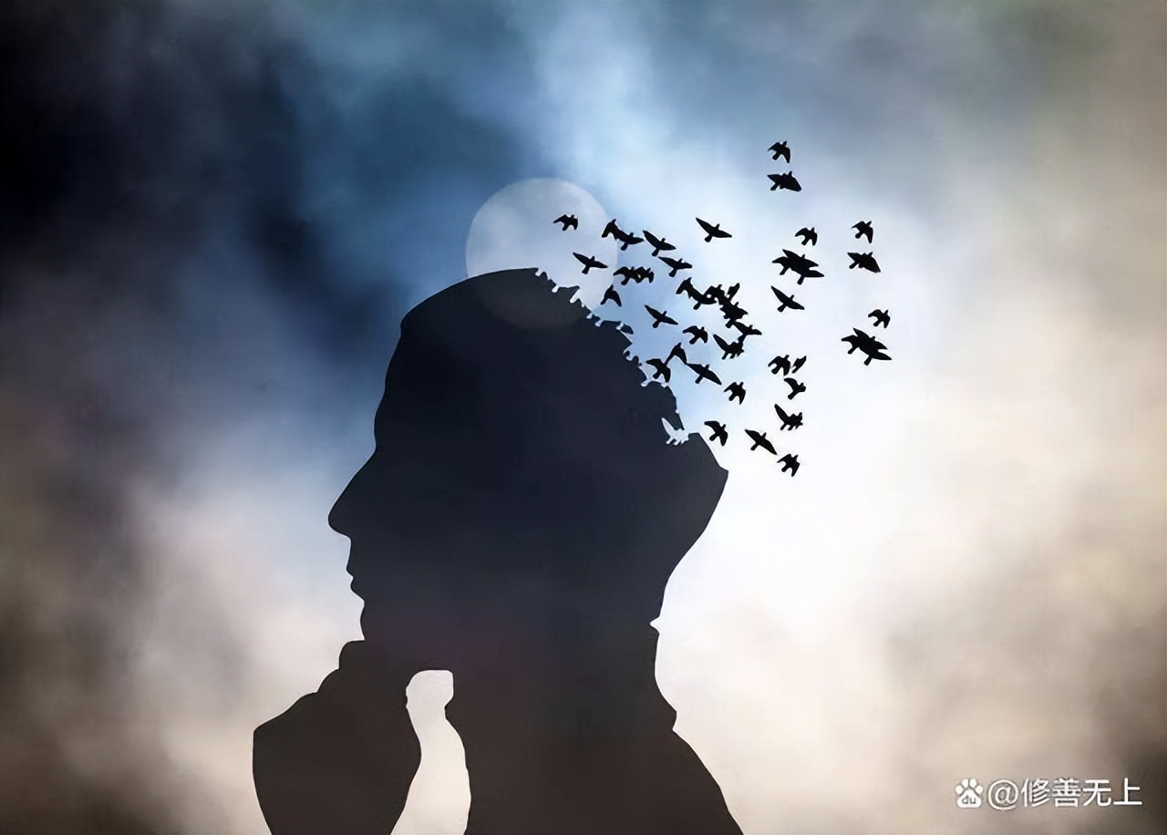 人生学会边走边放下,人生学会往前看