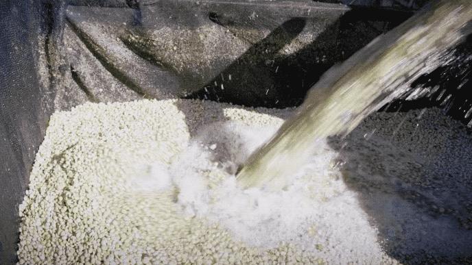 罗振宇创业行业,罗振宇2024乐观者