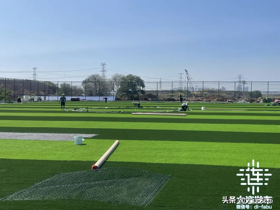 2022金普新区发展项目,金普新区签约30个项目明细