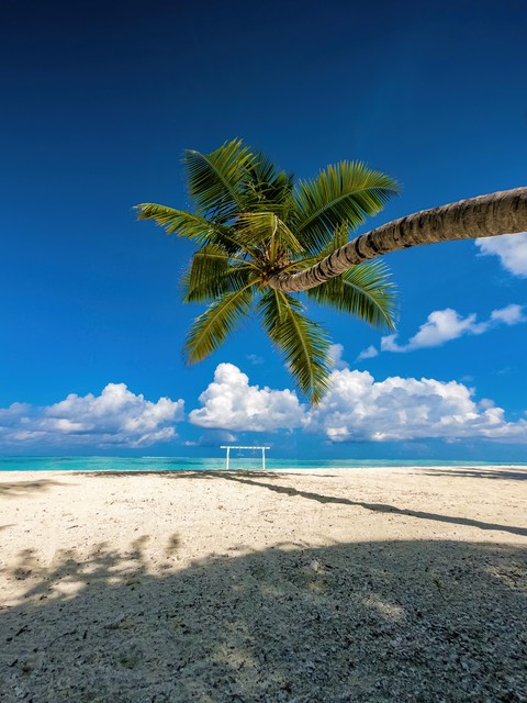 发自内心的喜欢自己的工作和生活,喜欢自己的工作也是一种幸运