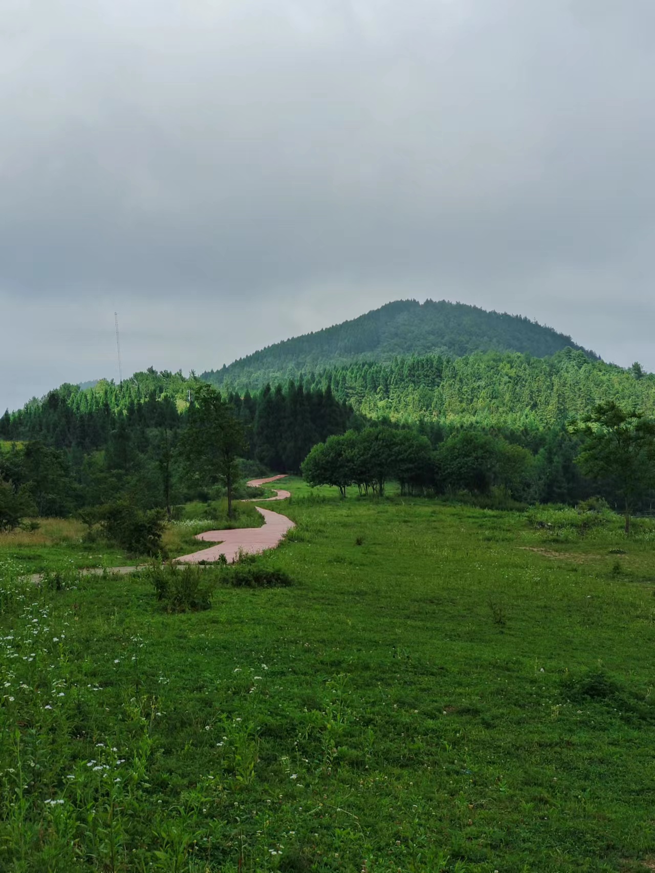 重庆石柱黄水避暑胜地,重庆旅游凉快的地方石柱黄水景区