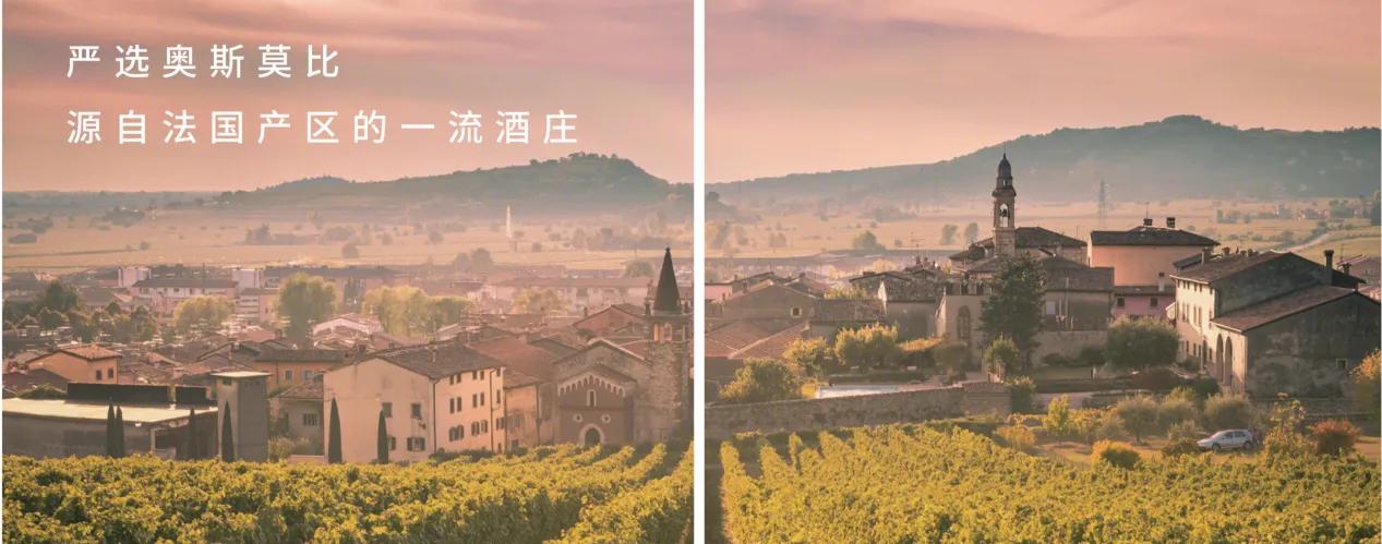 2022猛虎生辉｜创业加盟旺季，如何轻松乘上热门投资品类的快车？