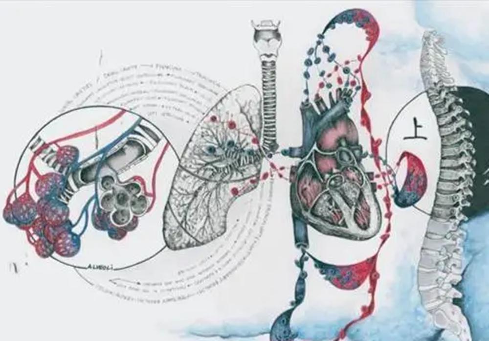 嗓子里一直有口痰怎样快速弄出来,嗓子里一直有痰出不来咋办