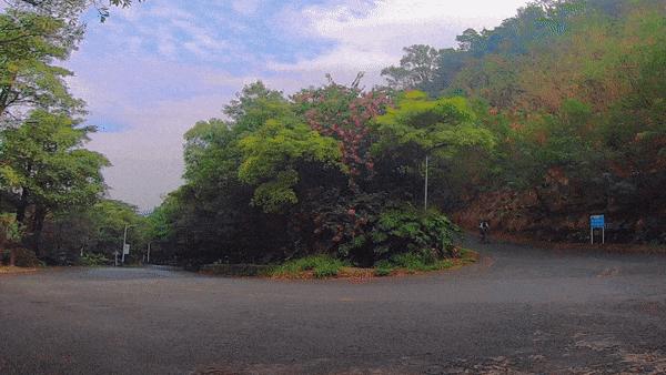 凤凰山绿道开放时间,凤凰山绿道全长多少公里