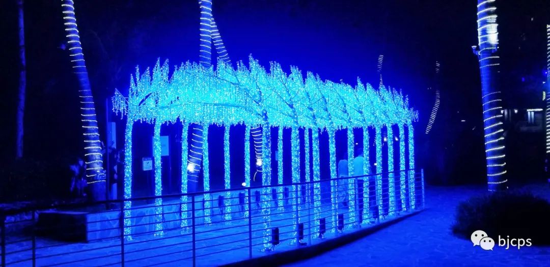 塞班岛免签政策45天还是14天,为什么塞班岛免签