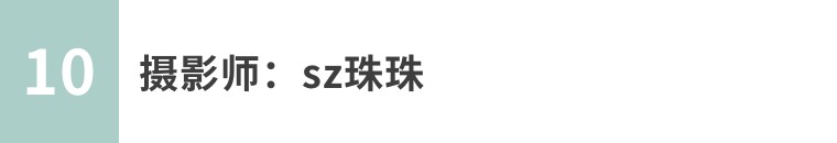 昆虫摄影艺术展,昆虫世界摄影欣赏