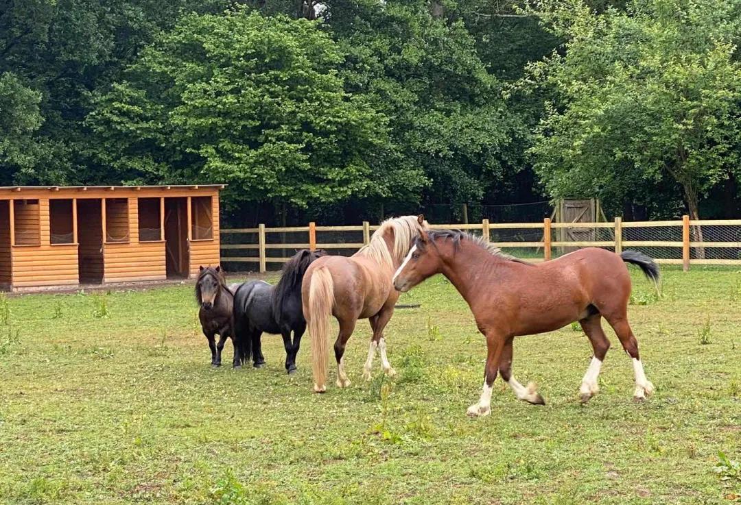 投资移民可以投资英国本土企业吗？