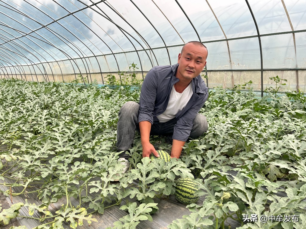 中牟县孟亚伟：90后小伙儿返乡创业争当致富排头兵