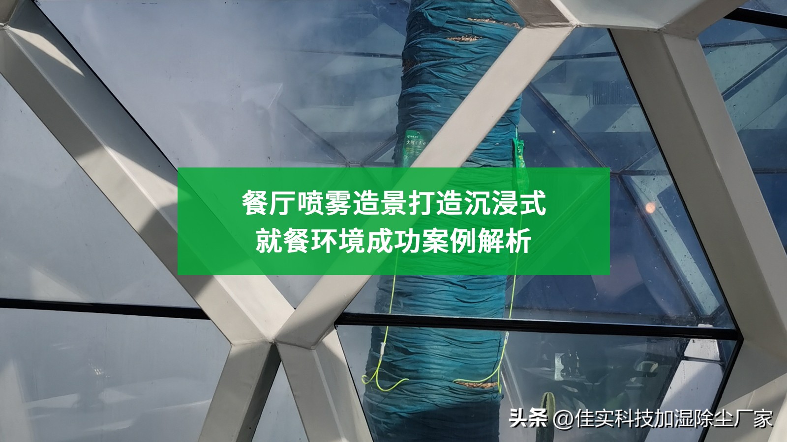 餐厅死角造景效果,生态餐厅景观效果图