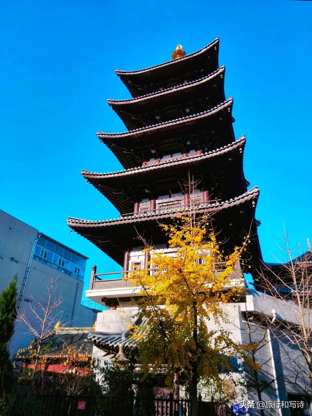 大连十大网红打卡圣地一网打尽,大连新晋网红打卡地东西价格