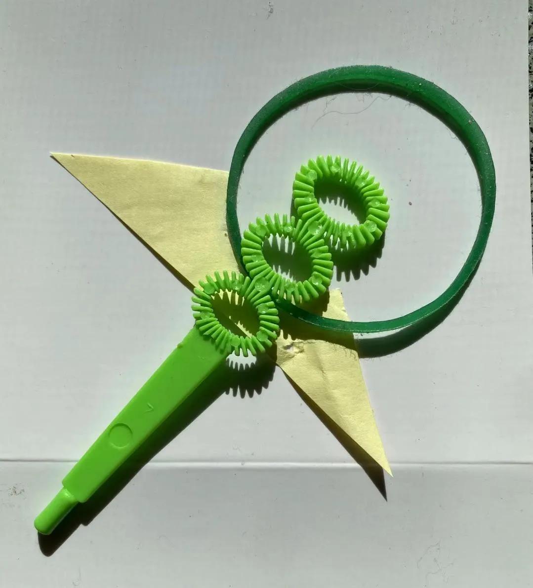 向明丨总有些无事生非的鸟事