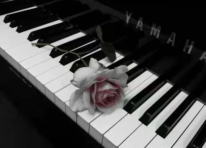 钢琴保养费用一览表,电子钢琴保养的正确方法