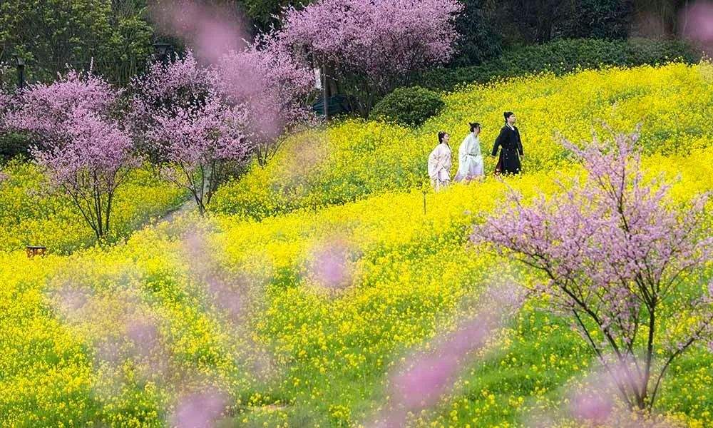 天籁改装几何光束大灯,2012款天籁更换led大灯