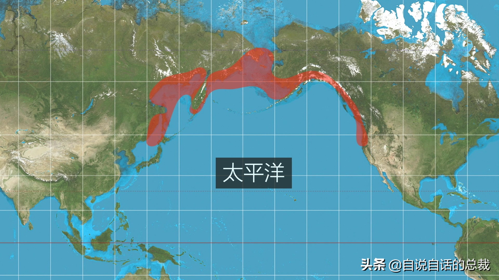 为什么鳕鱼卖的那么便宜,为什么买的鳕鱼特别松散