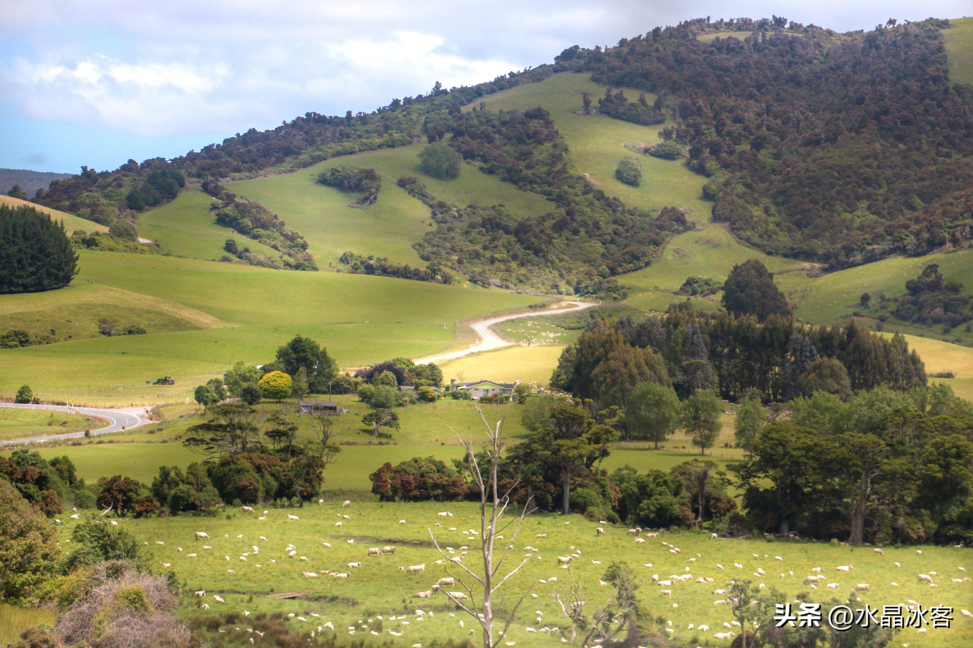 南岛新西兰之旅,新西兰之南岛