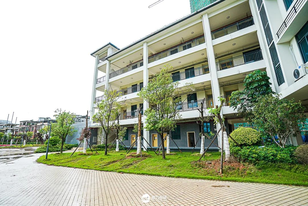 广州增城新建24所学校名称,增城区最新学校