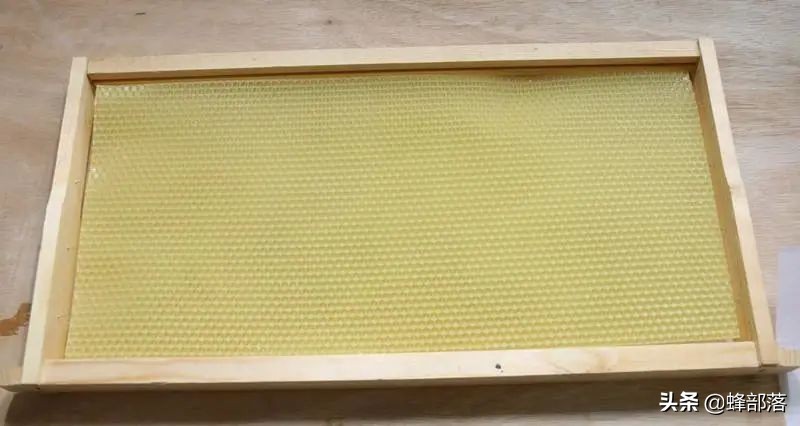 养蜂人蜂蜜产量,养蜂人新发明