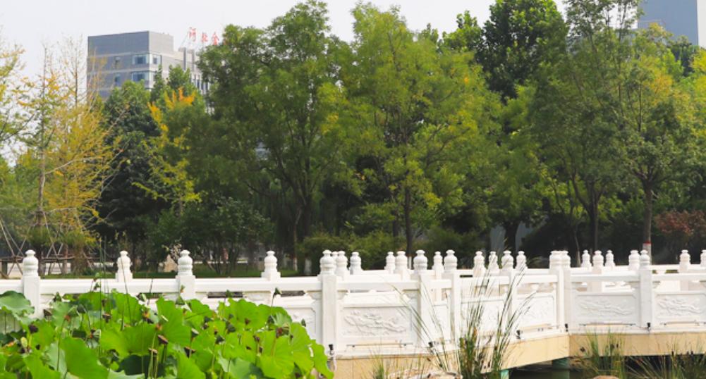 录取分数不高且好就业的五所大学,高考就业比较有保障的二本大学