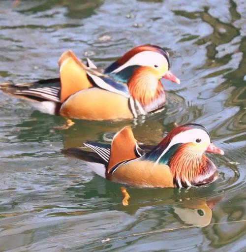 那些年我经历过的痛图片,那些年我曾走过的岁月