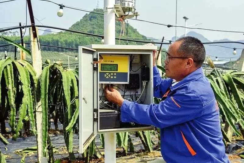 悬念揭晓在即,悬念揭晓视频