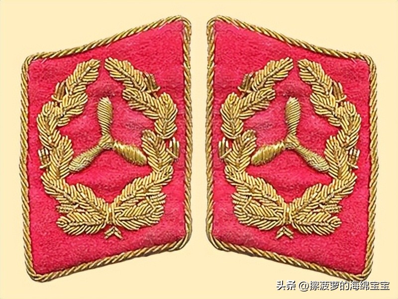 二战德国将军军衔图案,二战德国突击队队长军衔