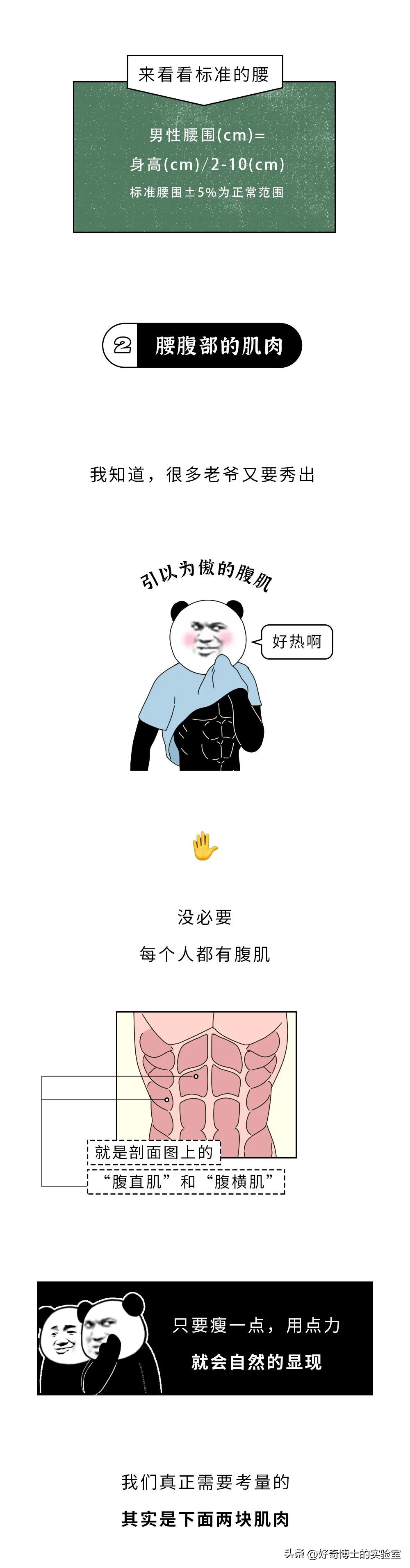 男生的腰比较标准,为什么要问男的腰好不好