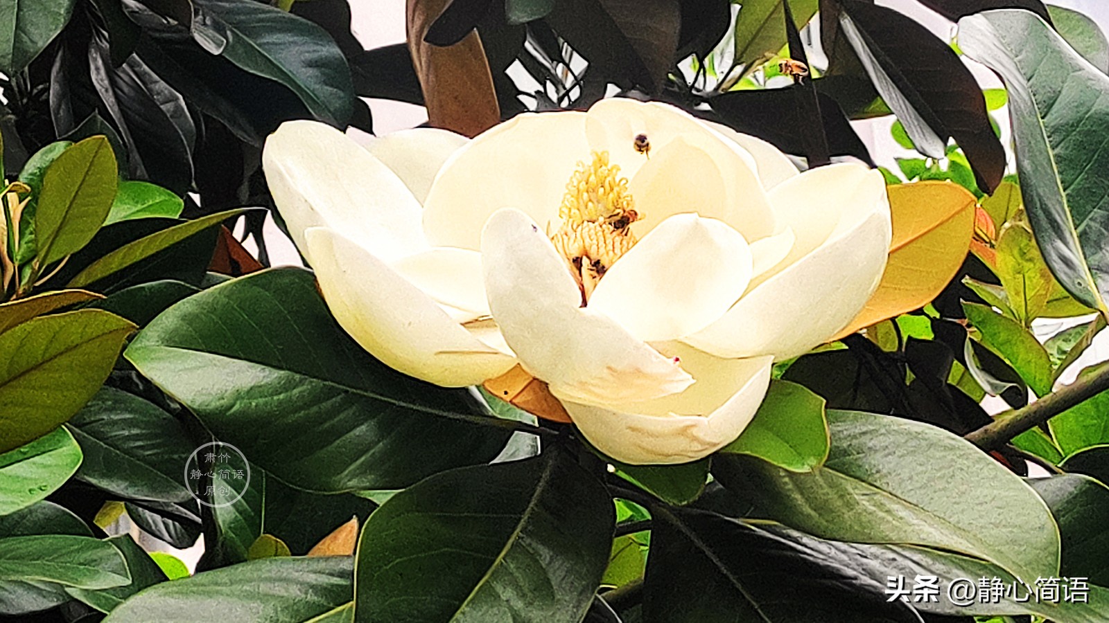 没有拉黑是给彼此最后一点尊重,没有拉黑只是不想有任何联系