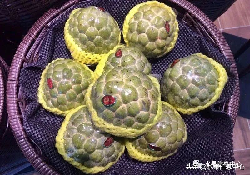 榴莲释迦又叫什么,释迦图片高清大图